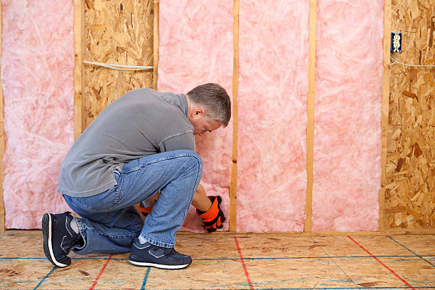 Best Insulation Maintenance and Repair in Ridgemark, CA