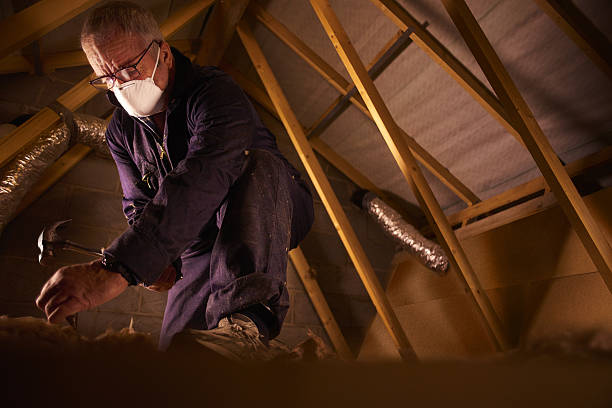 Best Insulation for Specific Applications in Ridgemark, CA