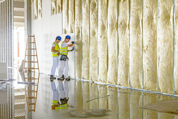 Best Energy Efficiency Solutions in Ridgemark, CA
